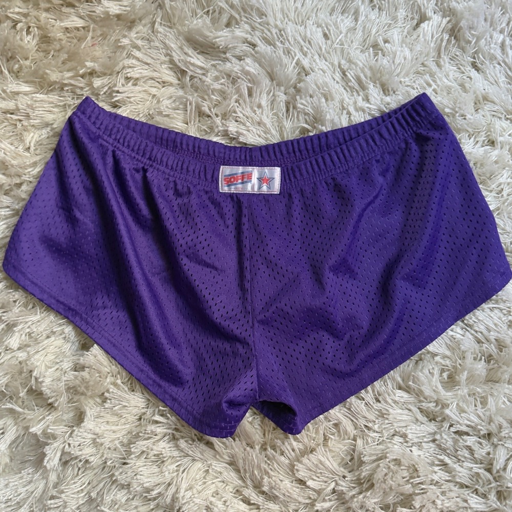 Vintage Soffe Purple Mesh Athletic Gym Shorts High Rise Dolphin Hem Medium M